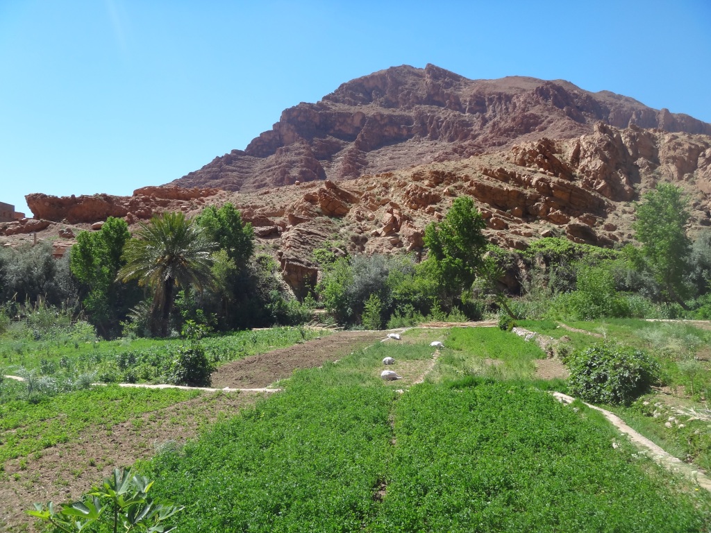 Berber village 