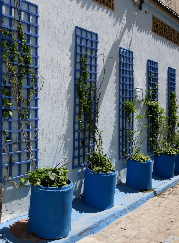 Blue and white walls in Rabat