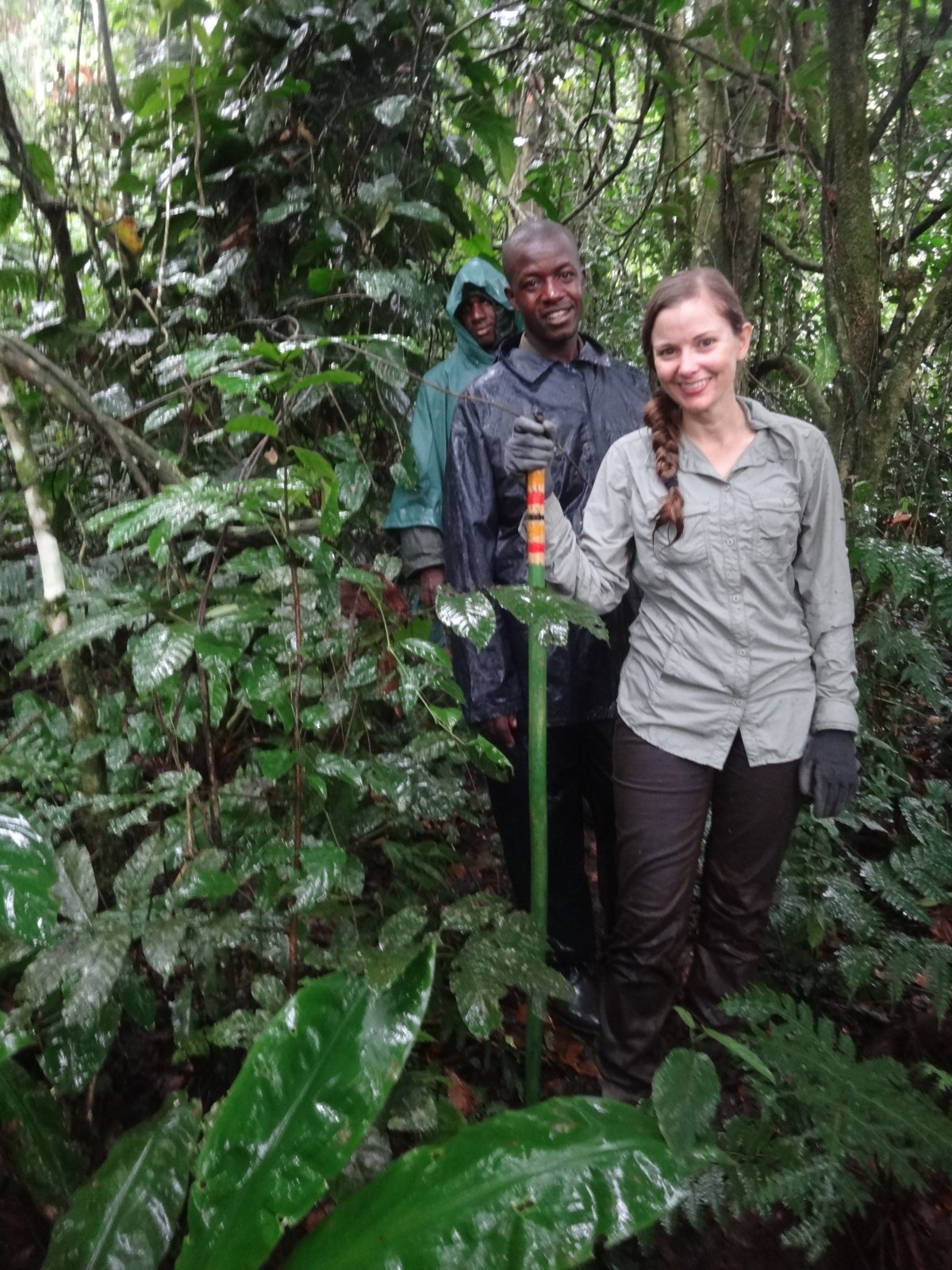 Bwindi Impenetrable Forest