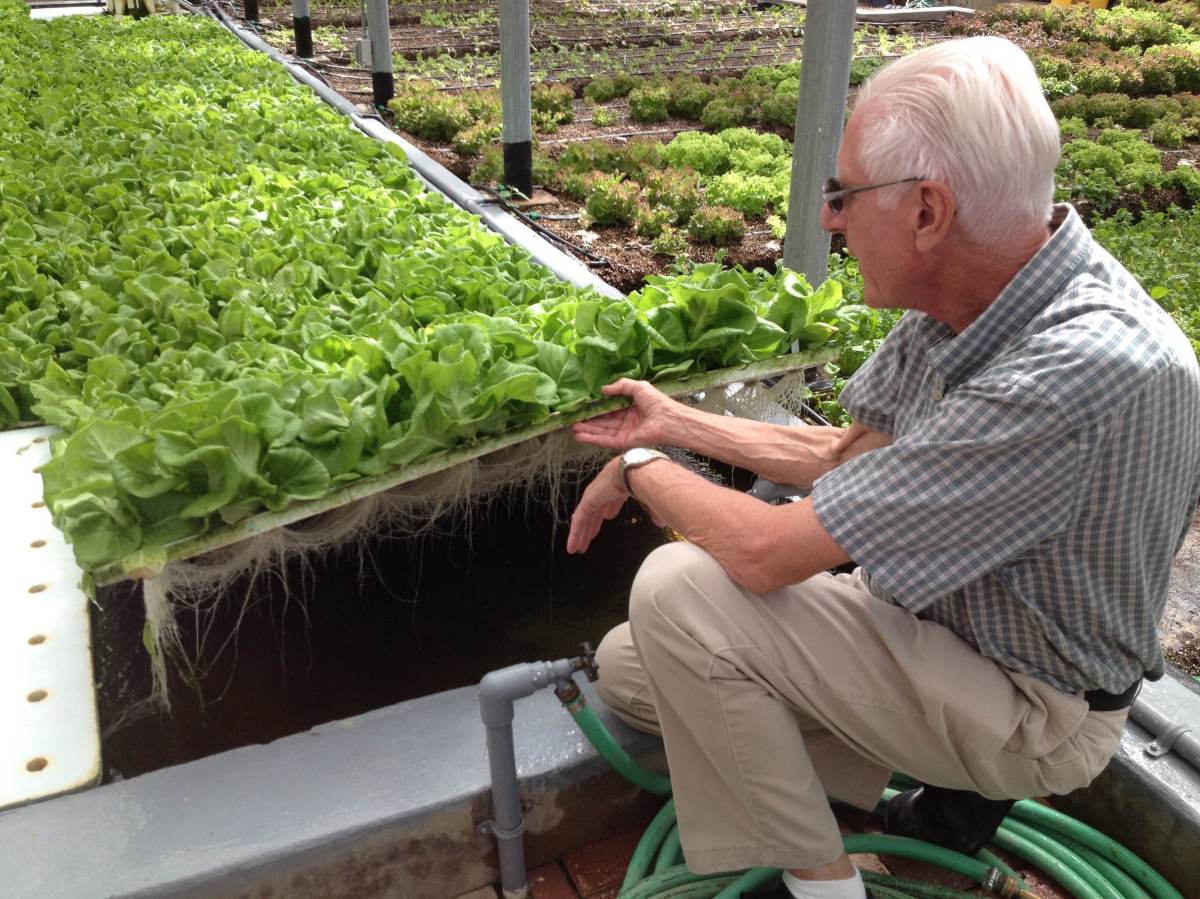 CuisinArt Golf Resort and Spa