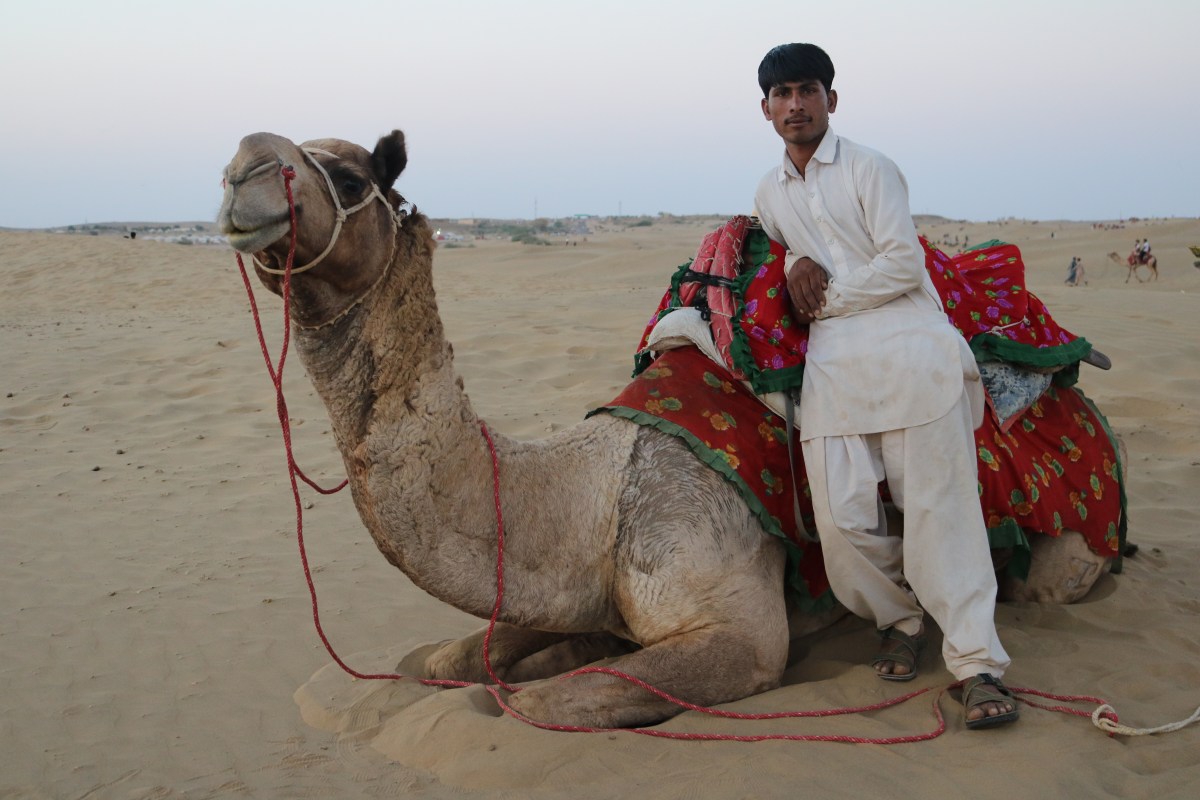 Camel and handler in Jaisalmer, India