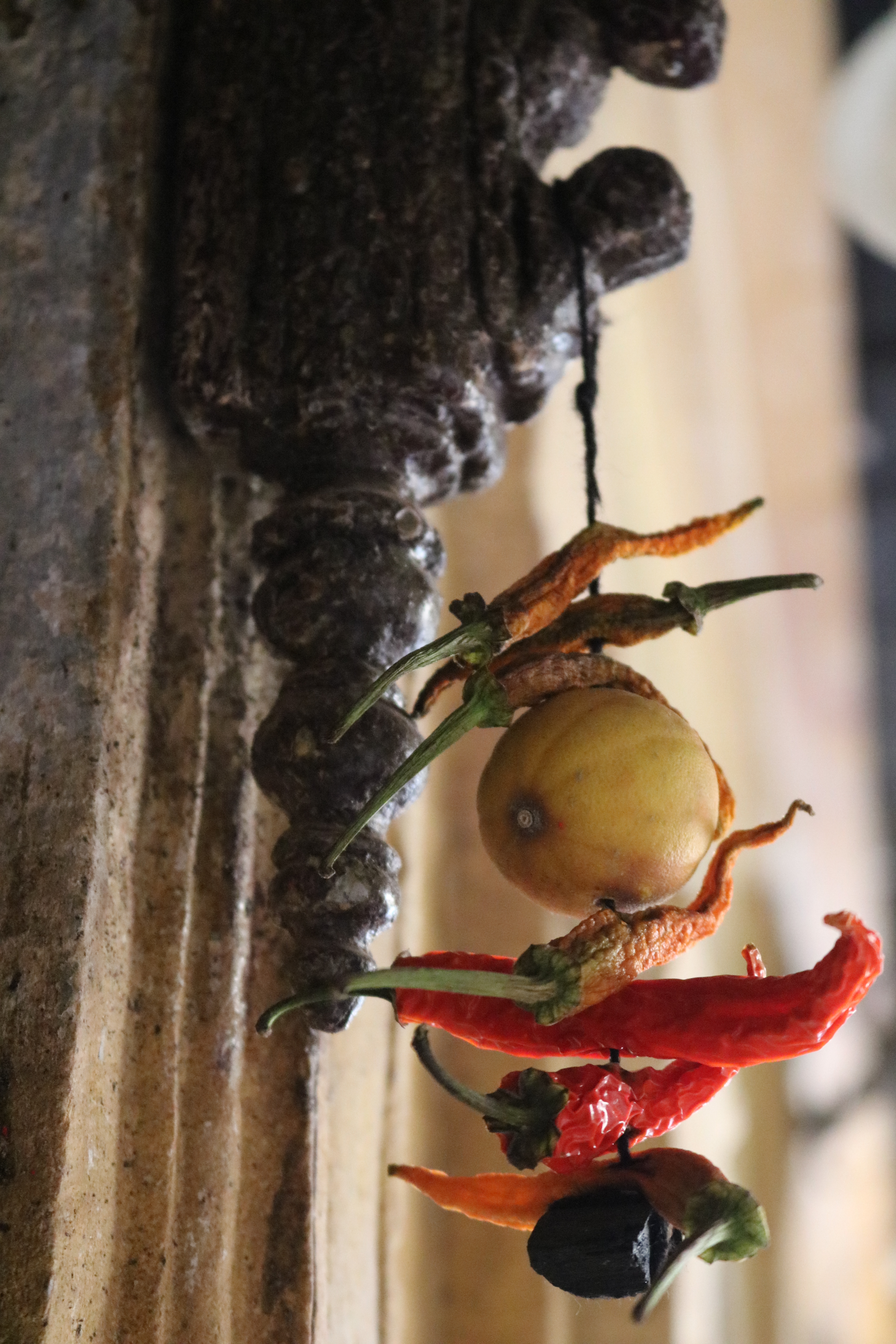 Lemon and Chilles, India