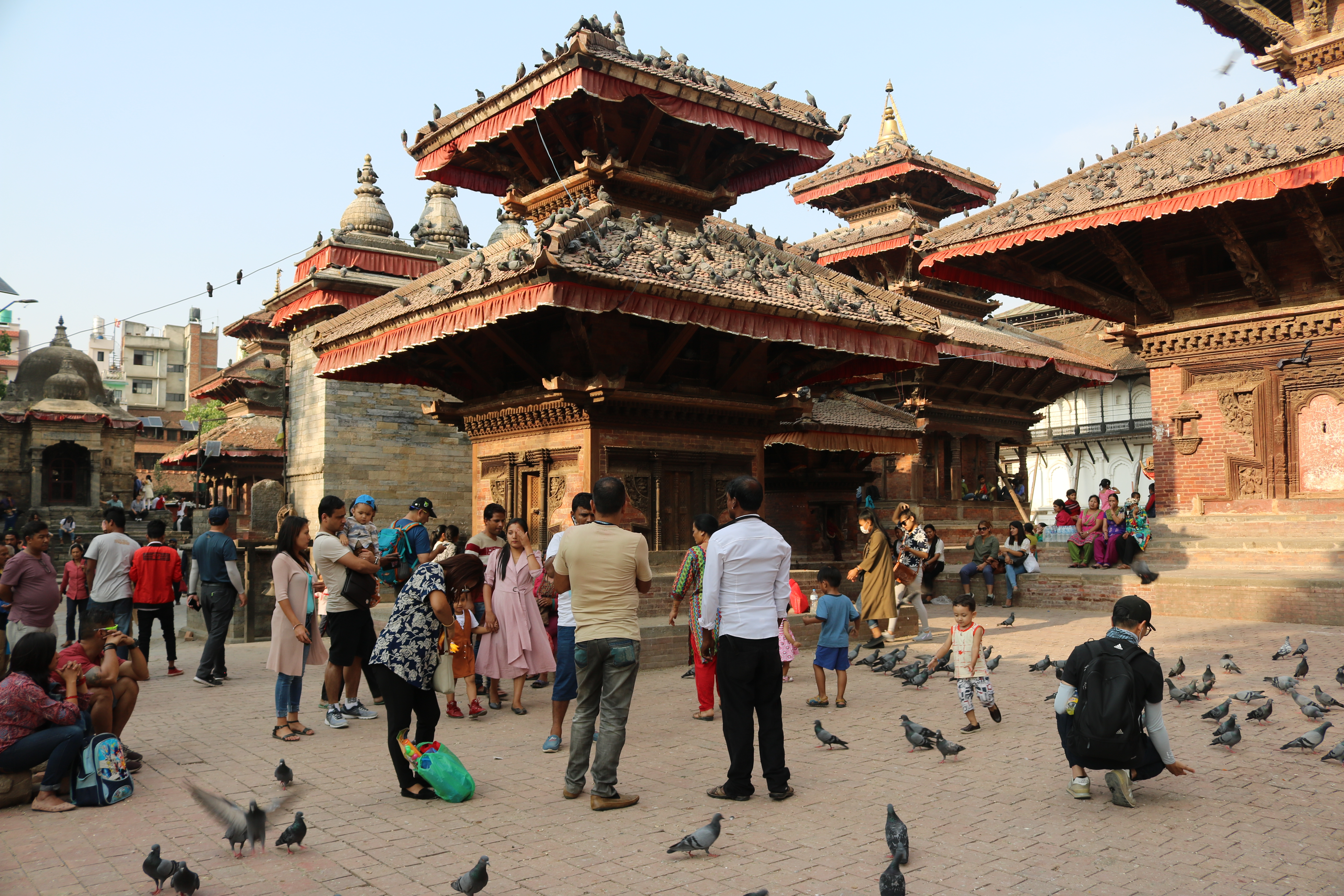 Pigeons in Kathmandu Durbar Square